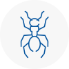 Ant Removals In Romsey