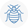 Bed Bug Extermination In Romsey