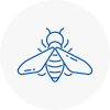 Bee Nest Removal Romsey