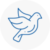 Bird Prevention Romsey