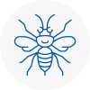 Romsey Hornet Nest Removals