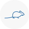 Mice Exterminators In Romsey