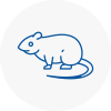 Rat Control Romsey