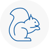 Romsey Rodent Removals