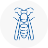 Romsey Wasp Nest Removal